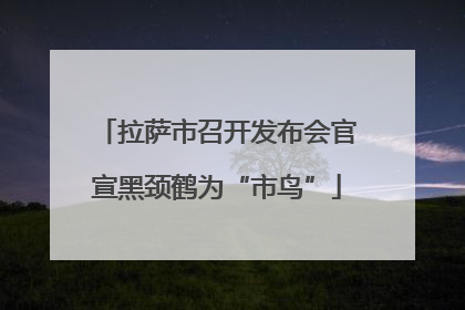 拉萨市召开发布会官宣黑颈鹤为“市鸟”