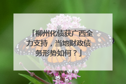 柳州化债获广西全力支持，当地财政债务形势如何？