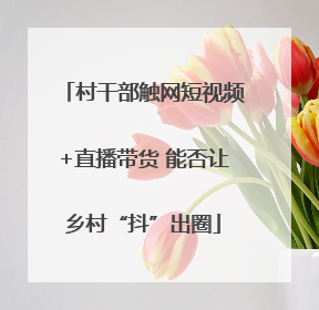 村干部触网短视频+直播带货 能否让乡村“抖”出圈