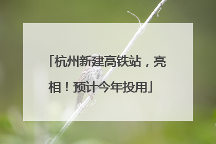 杭州新建高铁站，亮相！预计今年投用