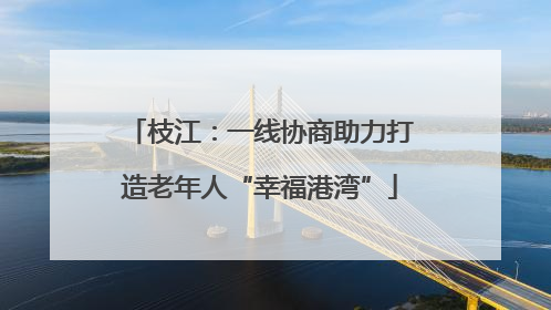 枝江：一线协商助力打造老年人“幸福港湾”