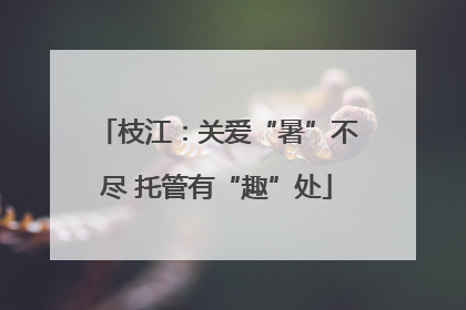 枝江：关爱“暑”不尽 托管有“趣”处