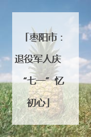 枣阳市：退役军人庆“七一”忆初心