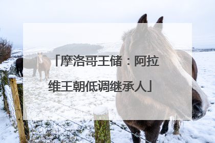 摩洛哥王储：阿拉维王朝低调继承人