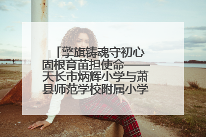 擎旗铸魂守初心 固根育苗担使命——天长市炳辉小学与萧县师范学校附属小学结对共建活动纪实