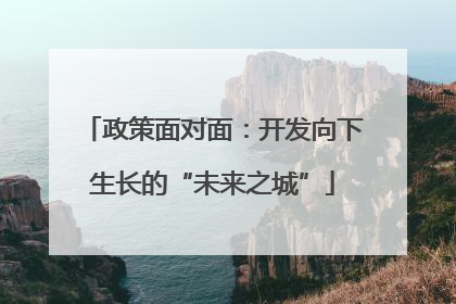 政策面对面：开发向下生长的“未来之城”
