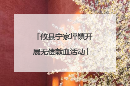 攸县宁家坪镇开展无偿献血活动