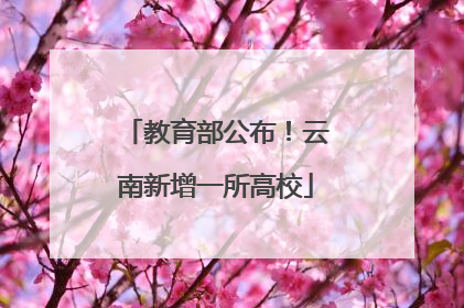 教育部公布！云南新增一所高校