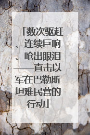 数次驱赶、连续巨响、呛出眼泪——直击以军在巴勒斯坦难民营的行动