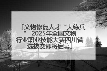 文物修复人才“大练兵” 2025年全国文物行业职业技能大赛四川省选拔赛即将启幕