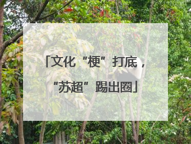 文化“梗”打底，“苏超”踢出圈