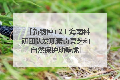 新物种+2！海南科研团队发现素贞灵芝和自然保护地壁虎