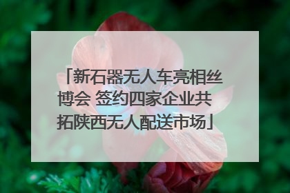 新石器无人车亮相丝博会 签约四家企业共拓陕西无人配送市场