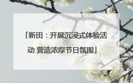 新田：开展沉浸式体验活动 营造浓厚节日氛围