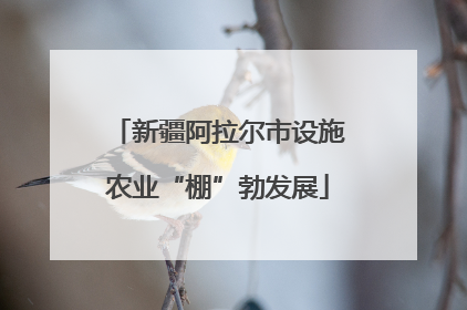 新疆阿拉尔市设施农业“棚”勃发展