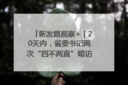 新发路观察+｜20天内，省委书记两次“四不两直”暗访，有何深意？