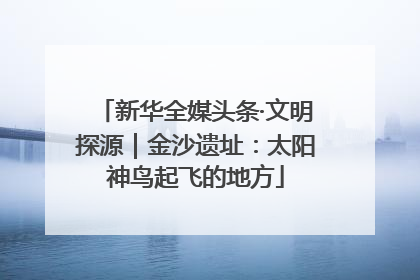 新华全媒头条·文明探源｜金沙遗址：太阳神鸟起飞的地方