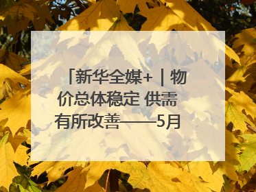 新华全媒+｜物价总体稳定 供需有所改善——5月份物价数据透视