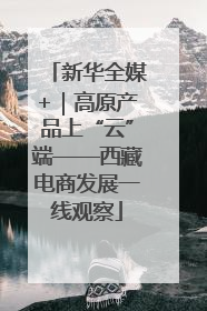 新华全媒+｜高原产品上“云”端——西藏电商发展一线观察