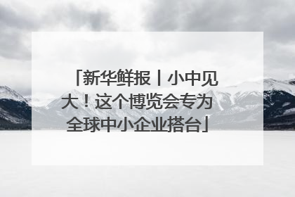 新华鲜报丨小中见大！这个博览会专为全球中小企业搭台