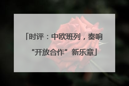 时评：中欧班列，奏响“开放合作”新乐章
