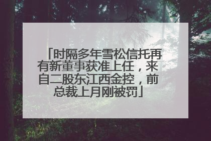 时隔多年雪松信托再有新董事获准上任，来自二股东江西金控，前总裁上月刚被罚