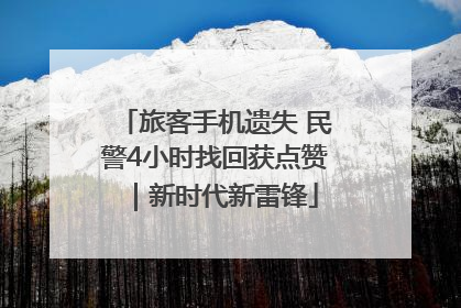 旅客手机遗失 民警4小时找回获点赞｜新时代新雷锋