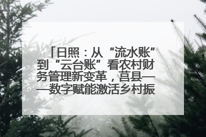 日照：从“流水账”到“云台账”看农村财务管理新变革，莒县——数字赋能激活乡村振兴“一池春水”