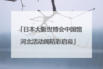 日本大阪世博会中国馆河北活动周精彩启幕