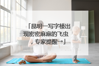 昆明一写字楼出现密密麻麻的飞虫，专家提醒→