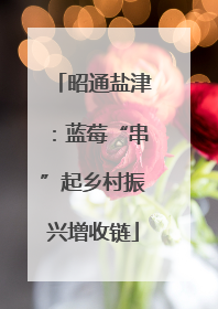 昭通盐津：蓝莓“串”起乡村振兴增收链
