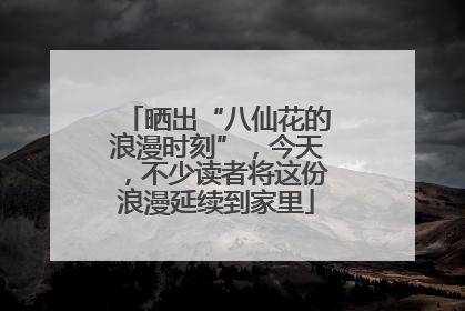 晒出“八仙花的浪漫时刻”，今天，不少读者将这份浪漫延续到家里