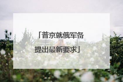 普京就俄军备提出最新要求