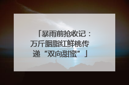 暴雨前抢收记：万斤胭脂红鲜桃传递“双向甜蜜”