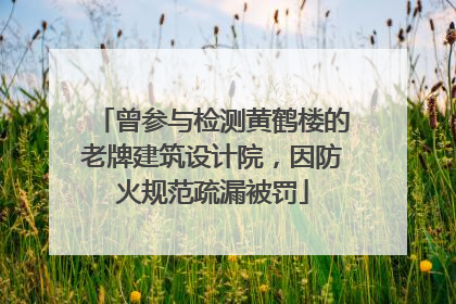 曾参与检测黄鹤楼的老牌建筑设计院，因防火规范疏漏被罚