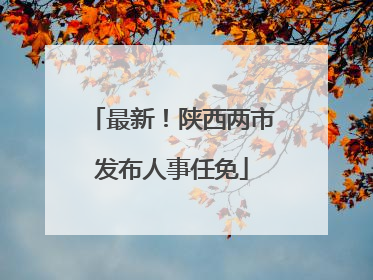 最新！陕西两市发布人事任免