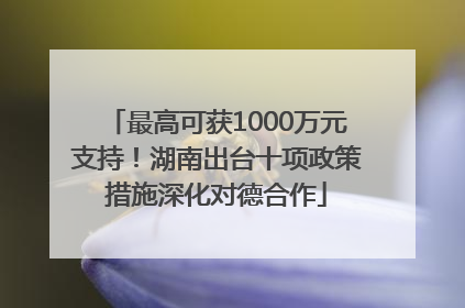 最高可获1000万元支持！湖南出台十项政策措施深化对德合作