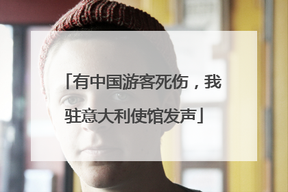 有中国游客死伤，我驻意大利使馆发声