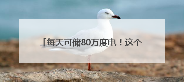 每天可储80万度电！这个大型锂钠混合储能站投产