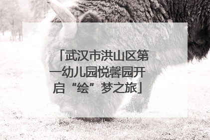 武汉市洪山区第一幼儿园悦馨园开启“绘”梦之旅