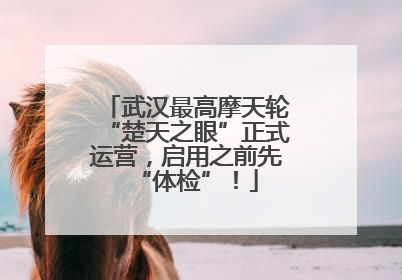 武汉最高摩天轮“楚天之眼”正式运营，启用之前先“体检”！
