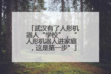 武汉有了人形机器人“学校”，“人形机器人进家庭，这是第一步”