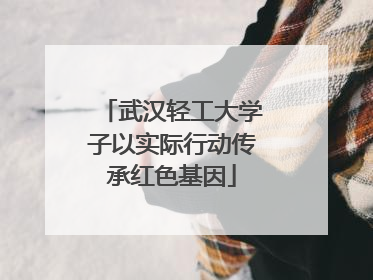 武汉轻工大学子以实际行动传承红色基因