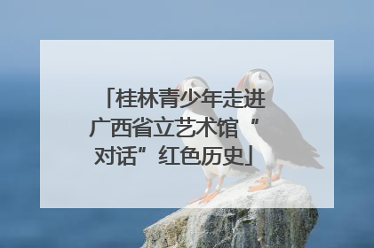 桂林青少年走进广西省立艺术馆“对话”红色历史