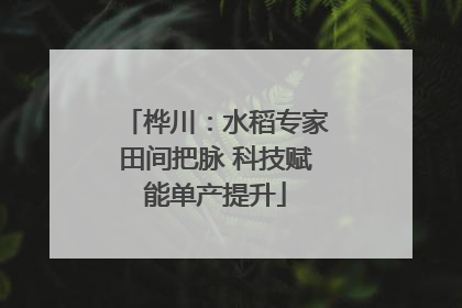 桦川：水稻专家田间把脉 科技赋能单产提升