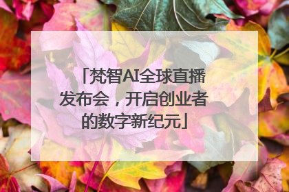 梵智AI全球直播发布会，开启创业者的数字新纪元