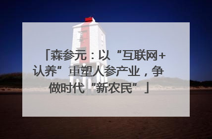 森参元：以“互联网+认养”重塑人参产业，争做时代“新农民”
