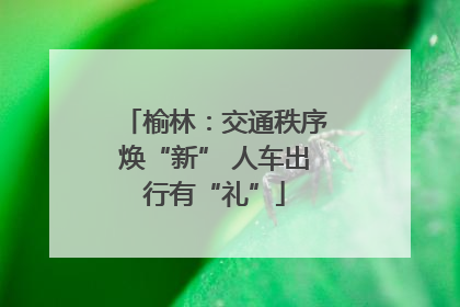 榆林：交通秩序焕“新” 人车出行有“礼”