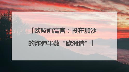 欧盟前高官：投在加沙的炸弹半数“欧洲造”