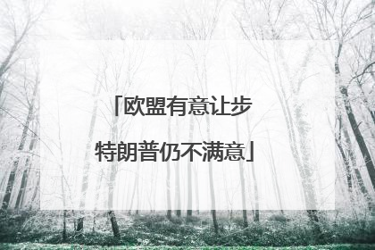 欧盟有意让步 特朗普仍不满意